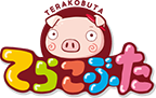 遊びから学びを得る！てらこヘリテージ株式会社はてらこぶたの中の人「寺崎美保子」が代表を務める会社です